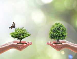 7月和1-7月全國(guó)地表水、環(huán)境空氣質(zhì)量狀況